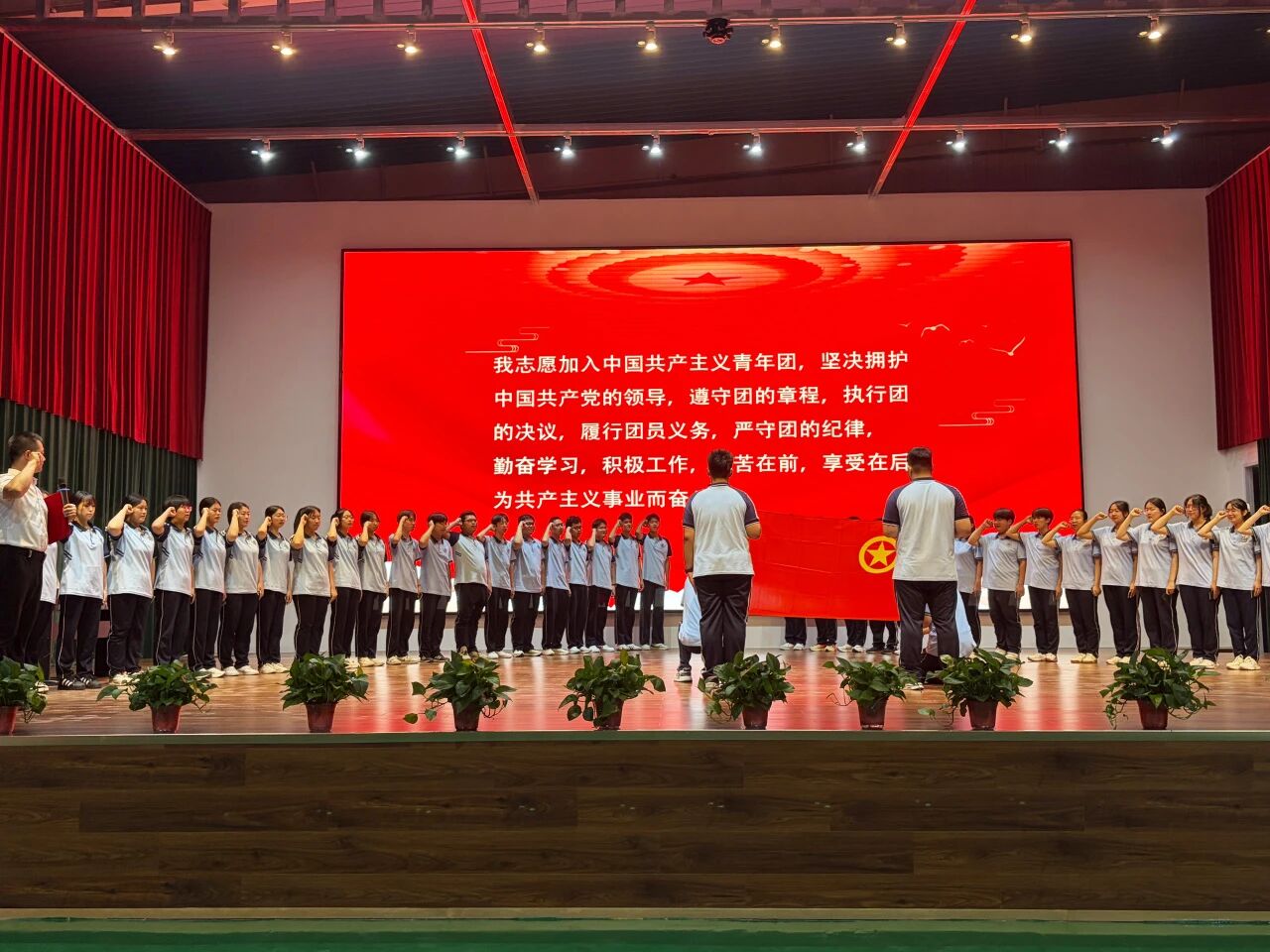 微信图片_2026-07-01_110948_553.jpg